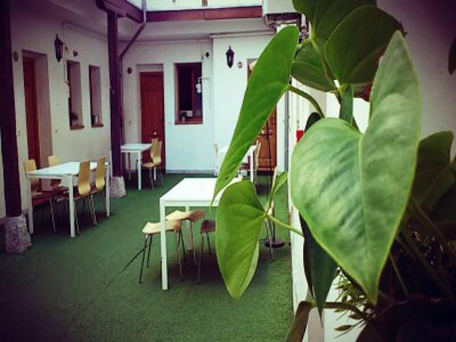 The Living Roof Hostel Madryt Wnętrze zdjęcie